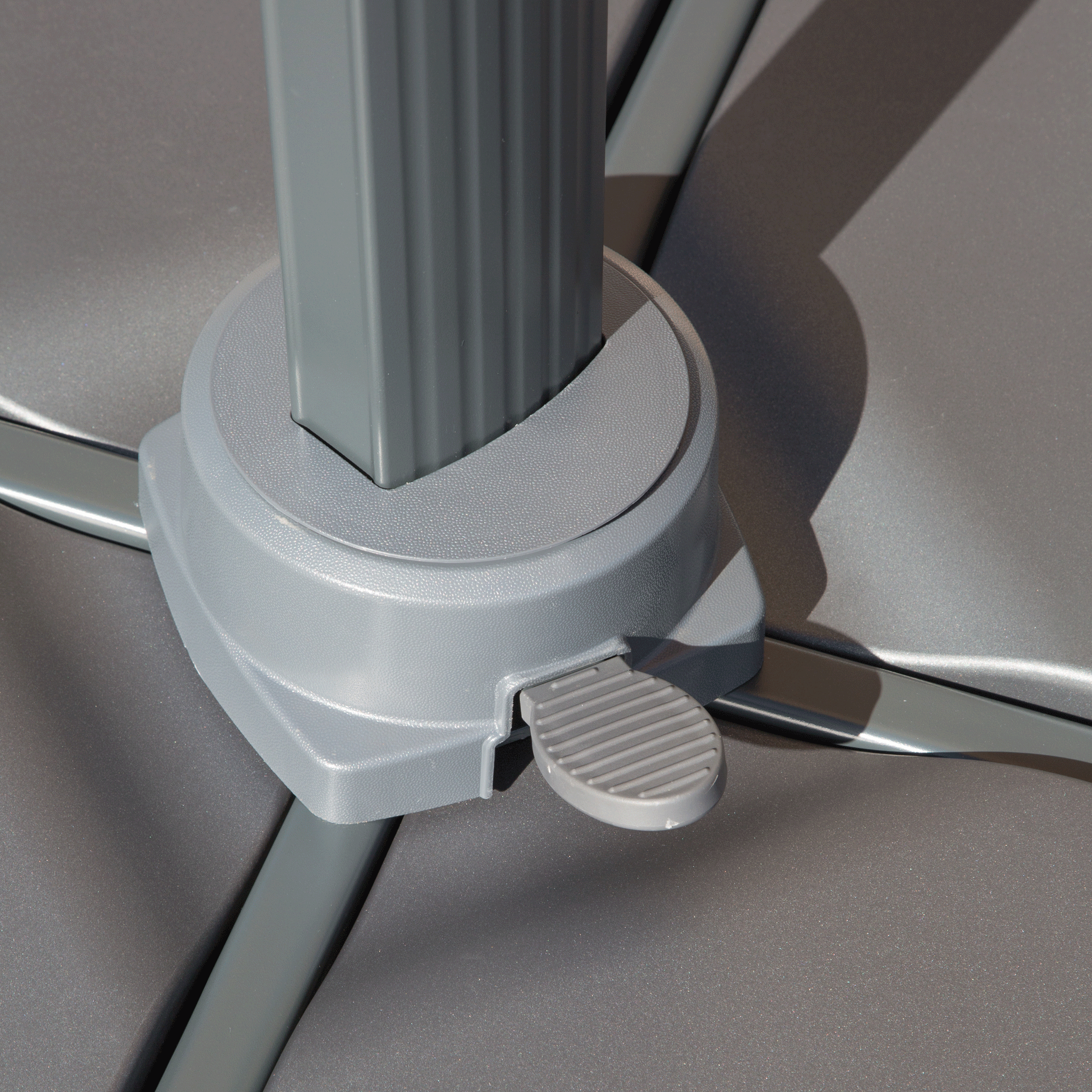 bahiagrisdetail27eb0e63383c3479e9e560bb34edcf90e Mobellianova